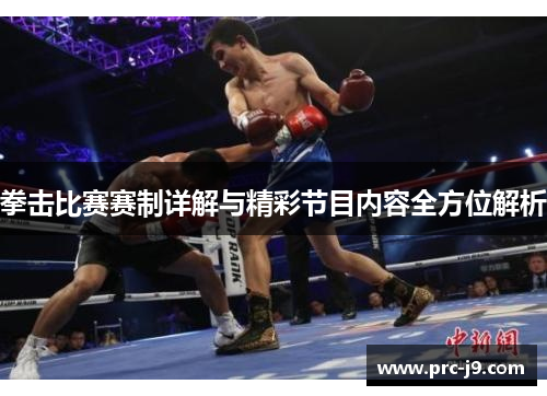 拳击比赛赛制详解与精彩节目内容全方位解析