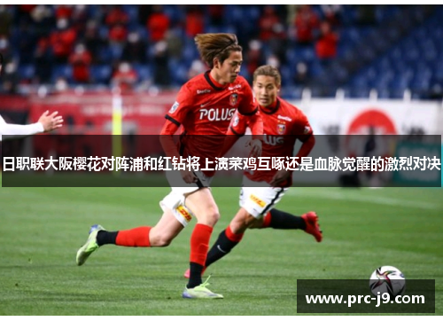 日职联大阪樱花对阵浦和红钻将上演菜鸡互啄还是血脉觉醒的激烈对决